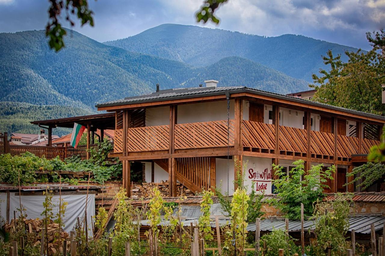 Къщи За Гости Сноуфлейк Snowflake Chalet And Snowflake Lodge Bansko Eksteriør bilde